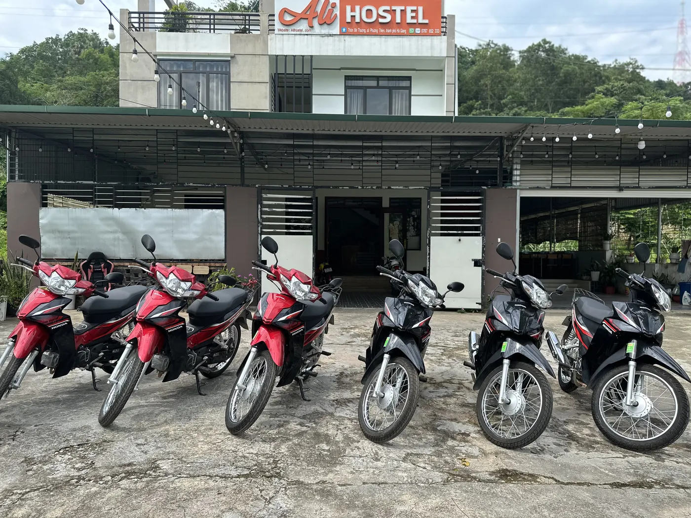 Rental motorbikes lined up in front of Ali Hostel