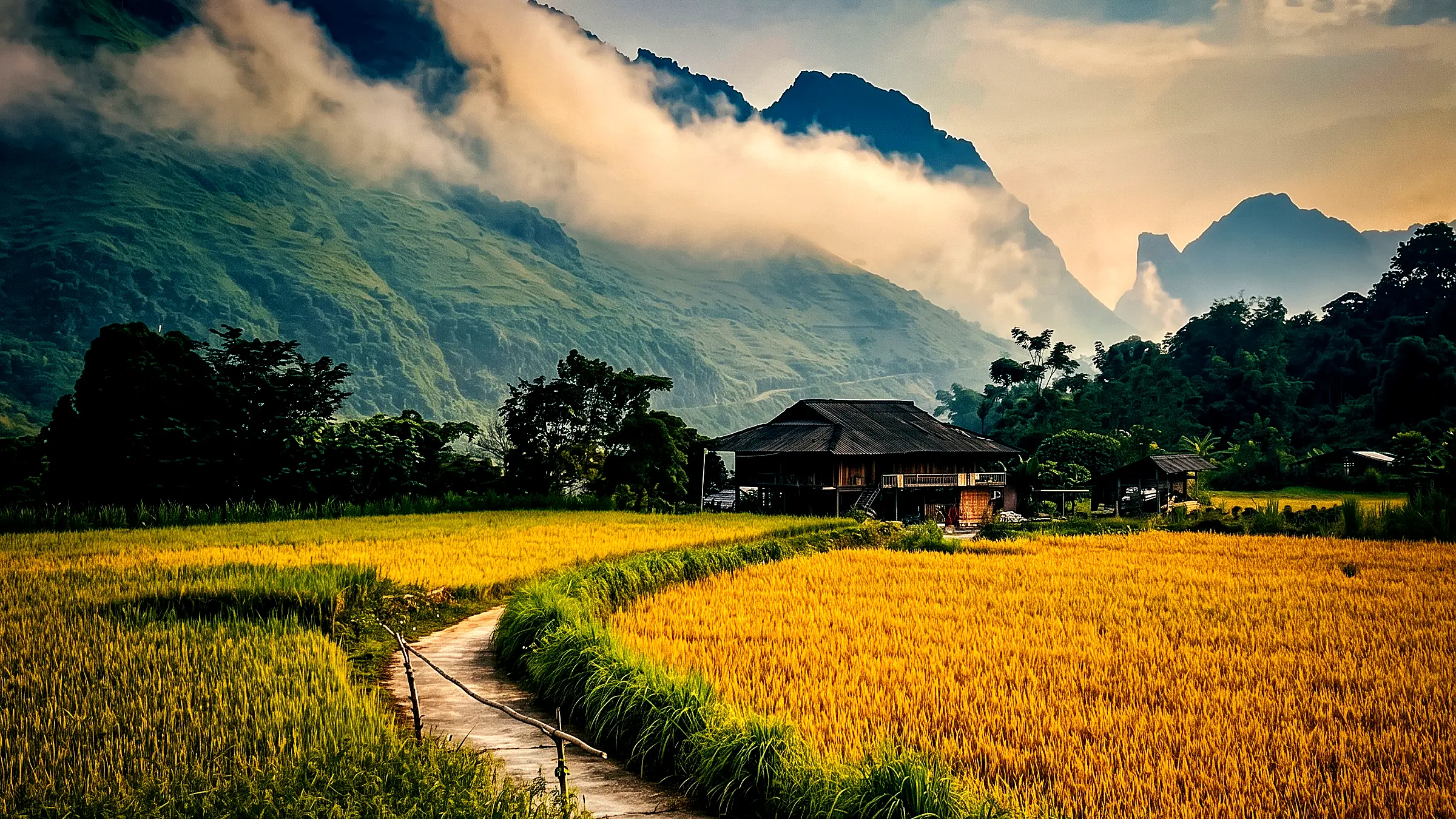 Golden rice fields and a stilt house in Du Gia valley