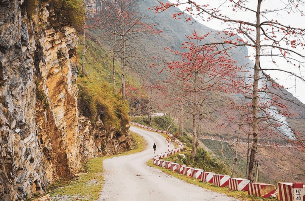 Why Choose the Ha Giang Loop in November? Best Time for Scenic Rides