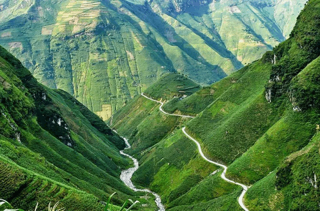 Colors of Nature and Seasonal Flowers