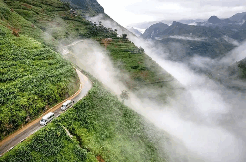 Conquer the Roof of the Northeast: Tay Con Linh Mountain in Ha Giang Top 20 Destinations in Ha Giang