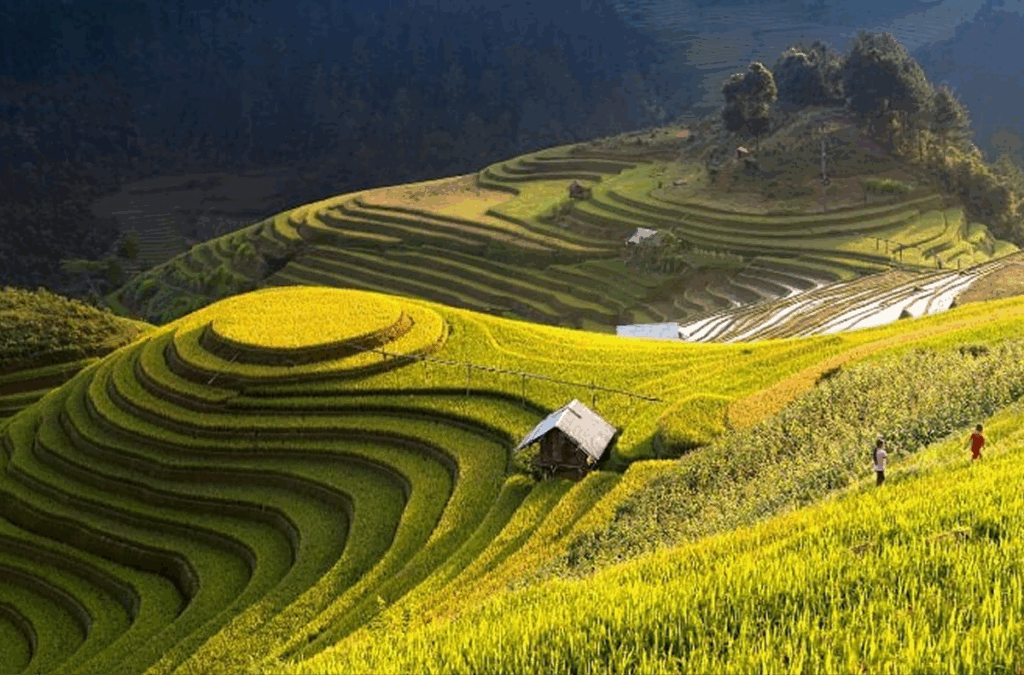 Hoang Su Phi – The Seasonal Beauty of Terraced Fields in Northern Vietnam