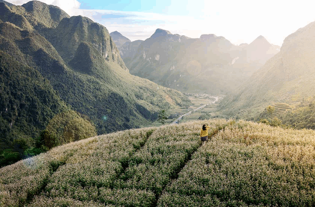 Sung La Valley top 20 Destinations in Ha Giang