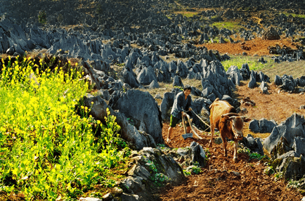 The Rich Diversity of Karst Formations Dong Van Ancient Street