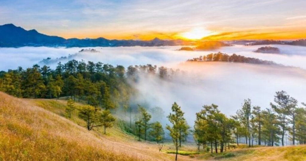 Yen Minh Pine Forest – The “Little Da Lat” of Ha Giang
