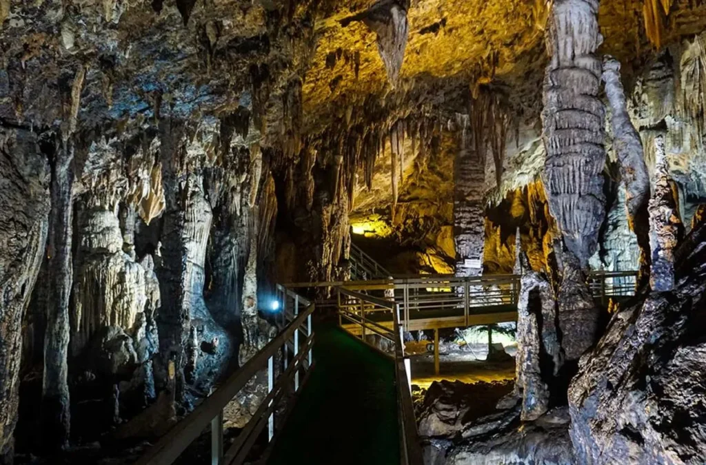 A Journey Through Vietnam’s Wild Northern Seasons