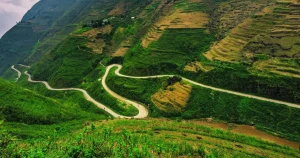 Explore Ha Giang’s Stunning Roads & Mountain Passes: The Ultimate Scenic Adventure