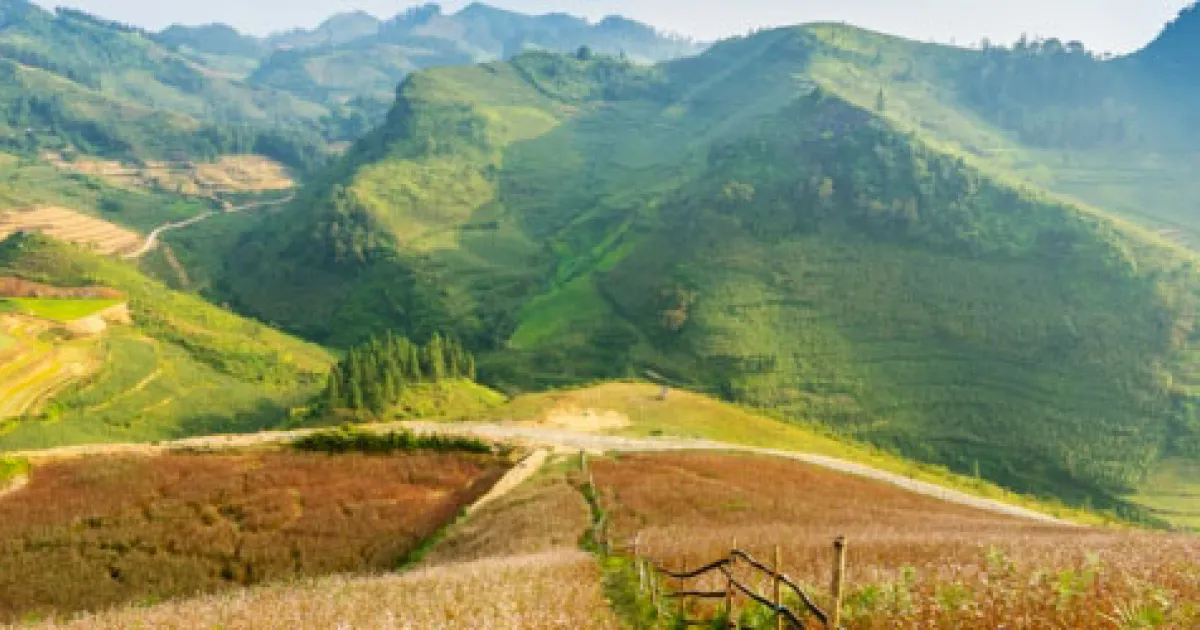 Top Things to Do in Ha Giang, The Wild North Awaits You_11zon