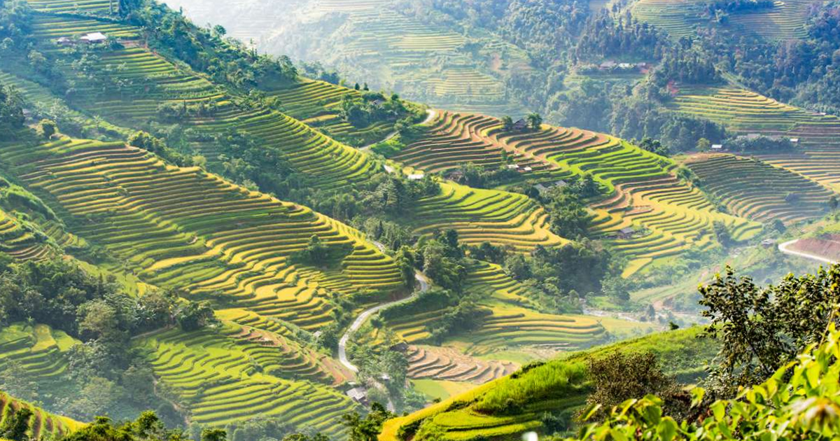 Hoang Su Phi Market: Market Surrounded By Mountains