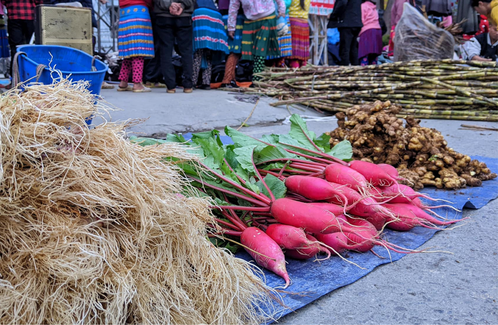 Local Products from the Mountains