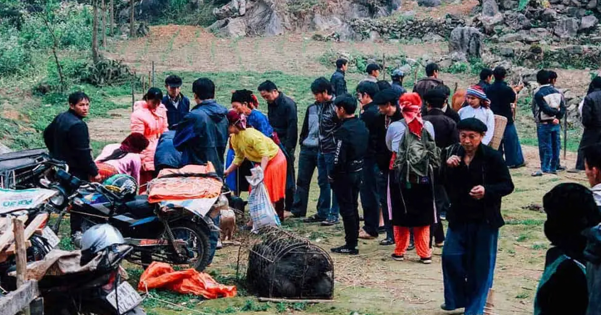 Pho Cao Market A Colorful Market Adventure Awaits