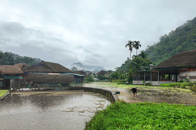 Tha Village Ha Giang