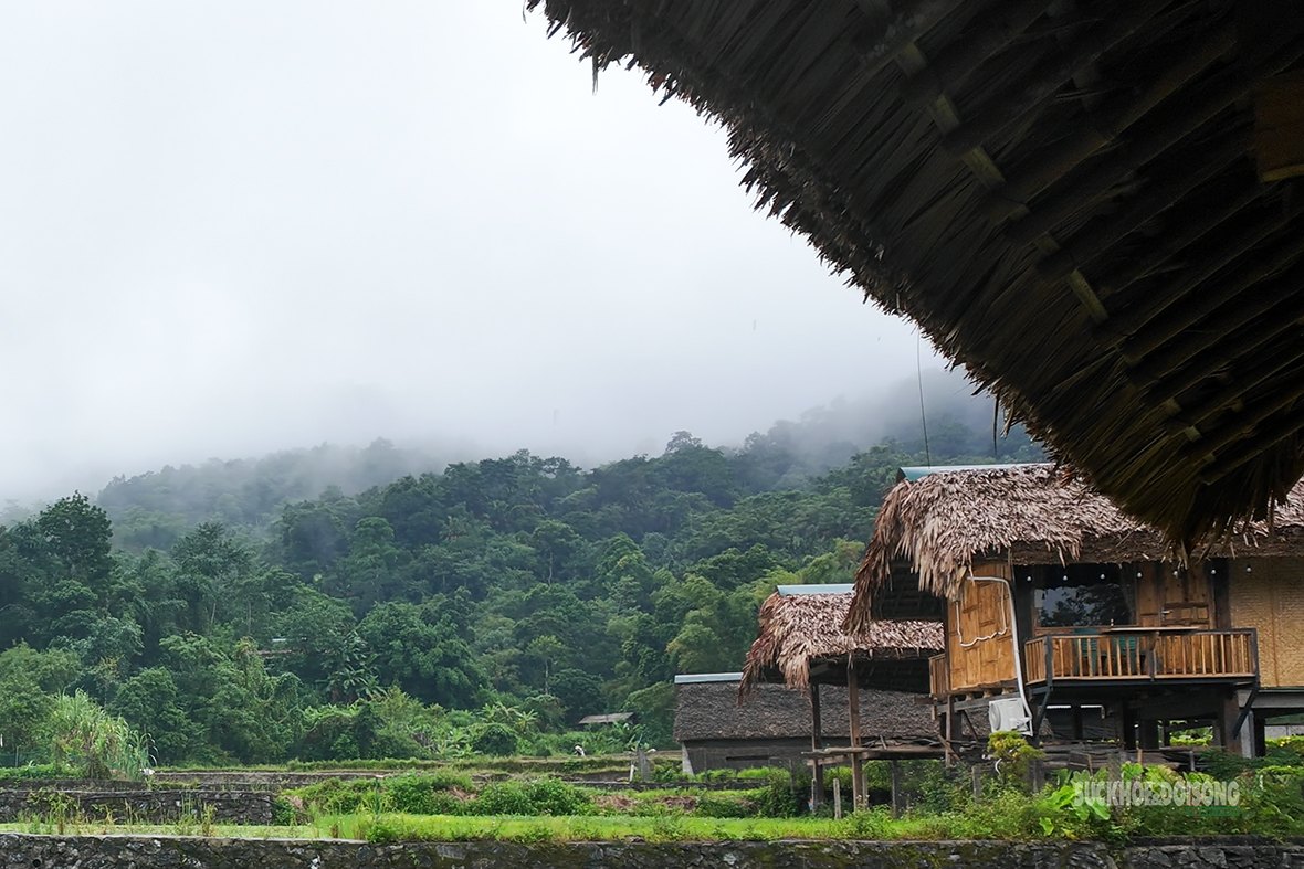 Tha Village Ha Giang: The Best Village 10 km From Town 3 Traditional Tay stilt houses under the mountains in Tha Village Ha Giang