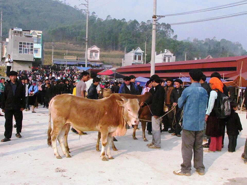Staying overnight in Dong Van avoids a common Ha Giang Loop mistake