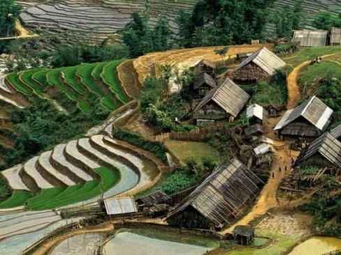 Ha Giang rice season golden terraces at Hoang Su Phi