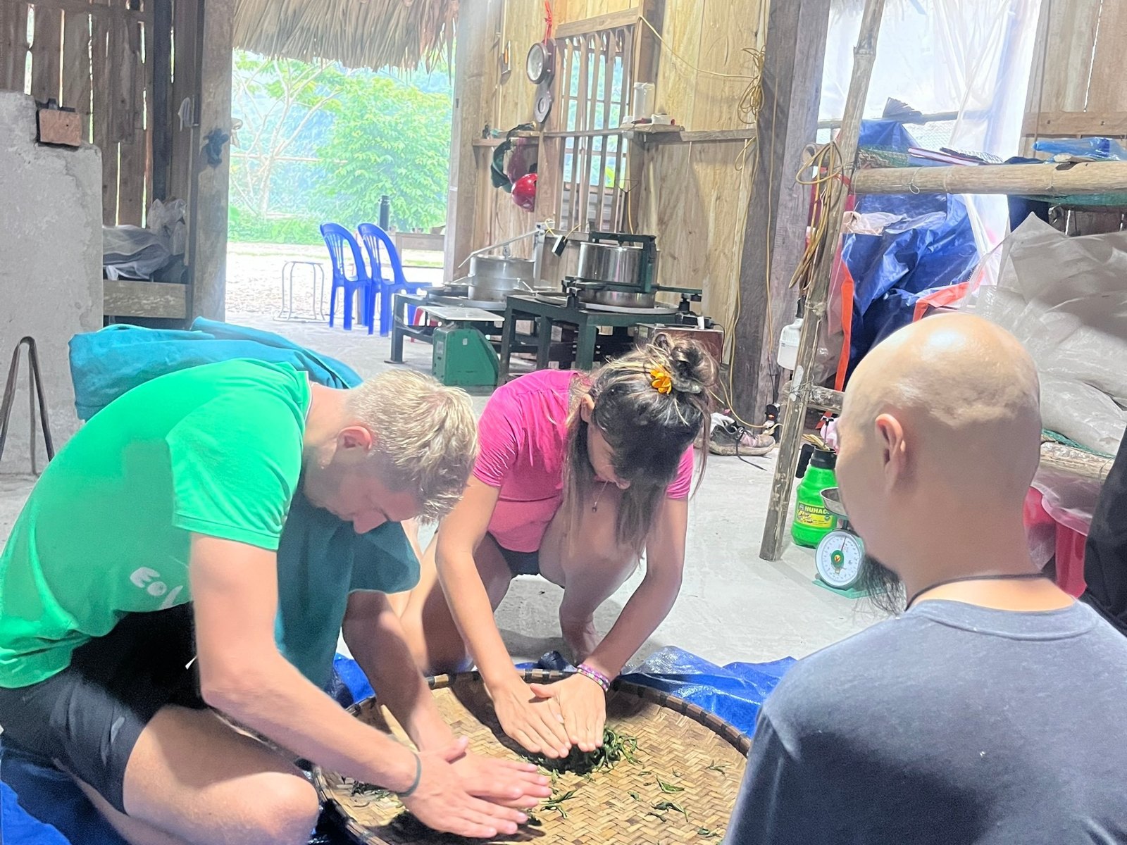 Ali Travel guests hand-rolling fresh Ha Giang tea at a Dao stilt house