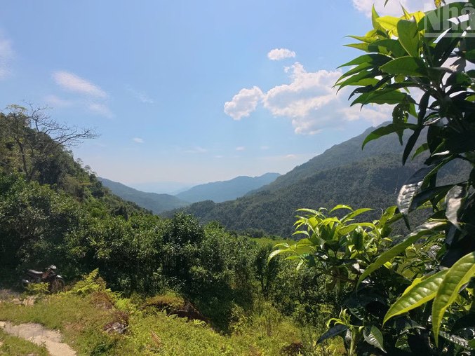 Mountain road into the Cao Bo Ha Giang tea region on Tay Con Linh