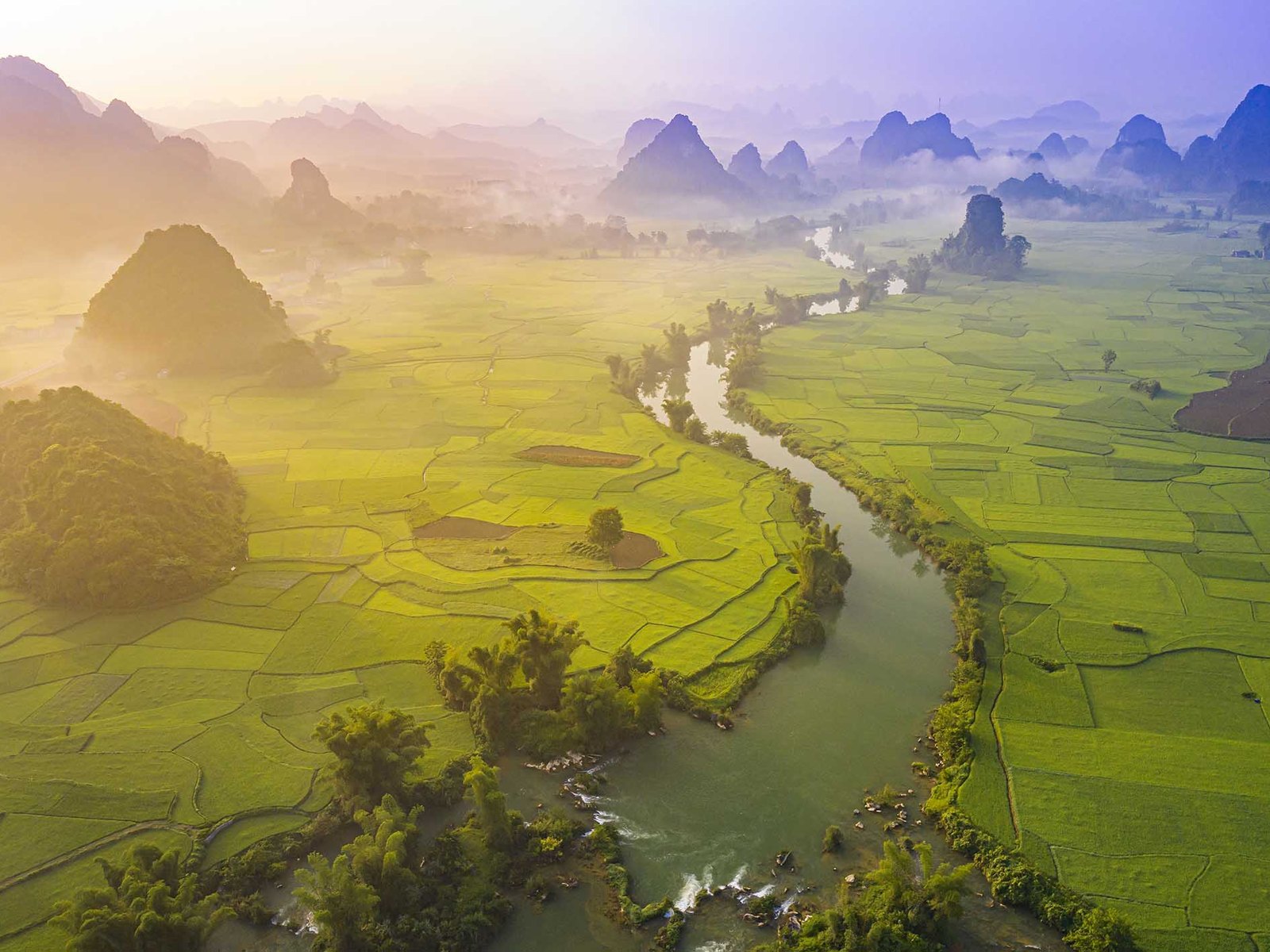 Golden rice in the Ngoc Con valley on the Quay Son River – Cao Bang weather in late September