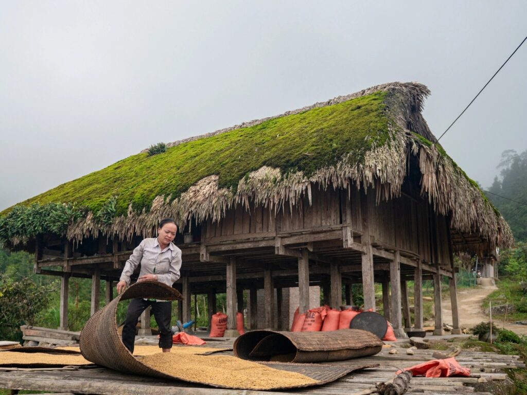 Ha Giang trekking: a moss-roofed Dao stilt house in Na Mau village