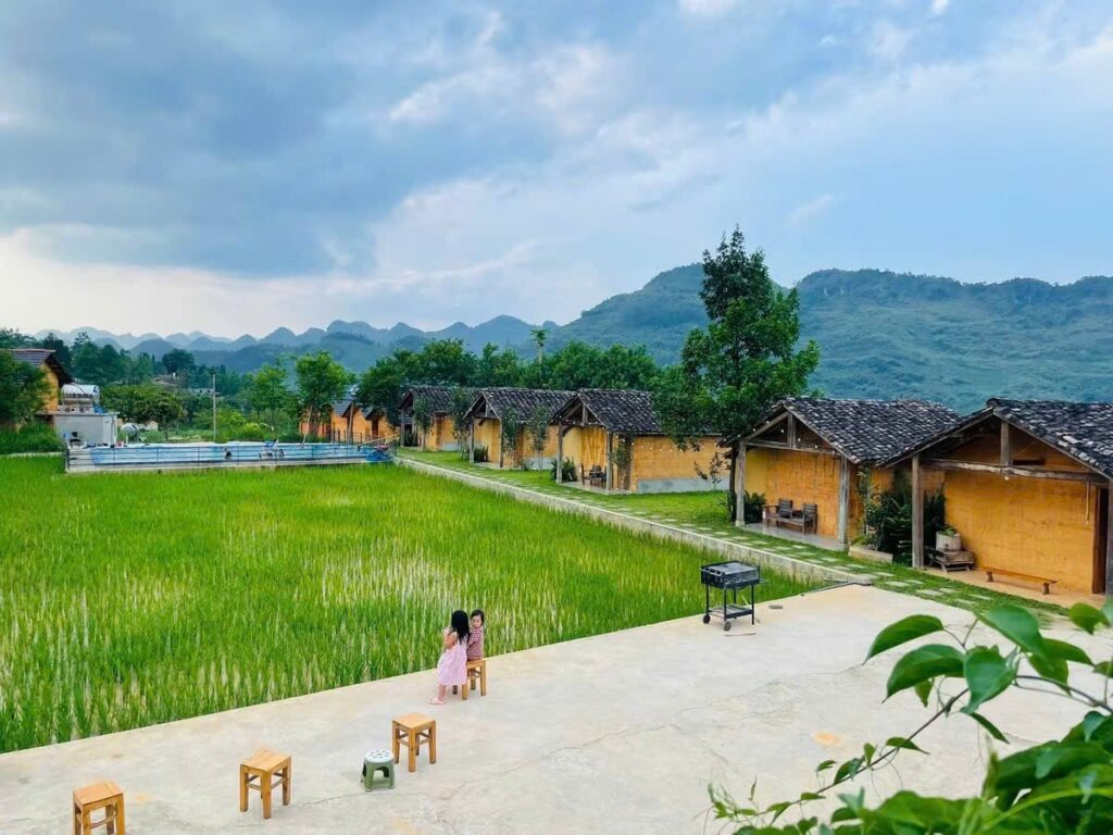 Nam Dam Village: The Dao Homestay Night Most Ha Giang Loop Riders Miss 1 Nam Dam village homestay bungalows beside rice fields in Quan Ba, Ha Giang